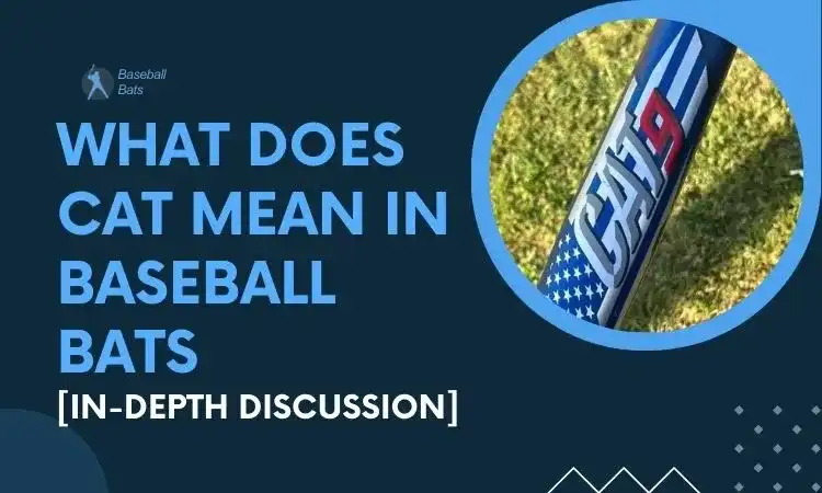 what-does-cat-mean-in-baseball-bats-in-depth-discussion